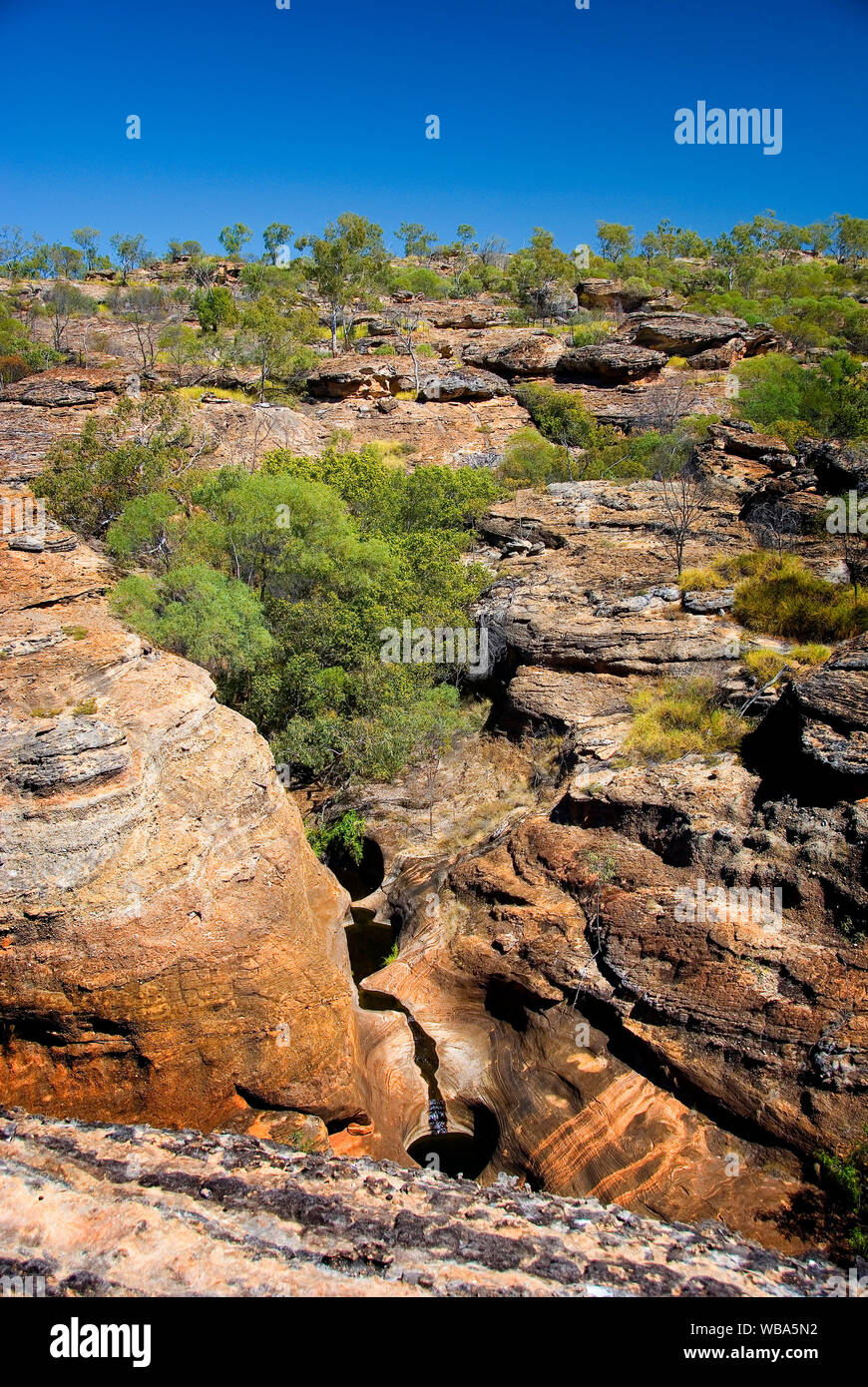 Cobbold Gorge, extremely narrow, in places merely two metres wide, with spectacular 30-m cliffs.    A series of waterholes and rock falls extends for Stock Photo