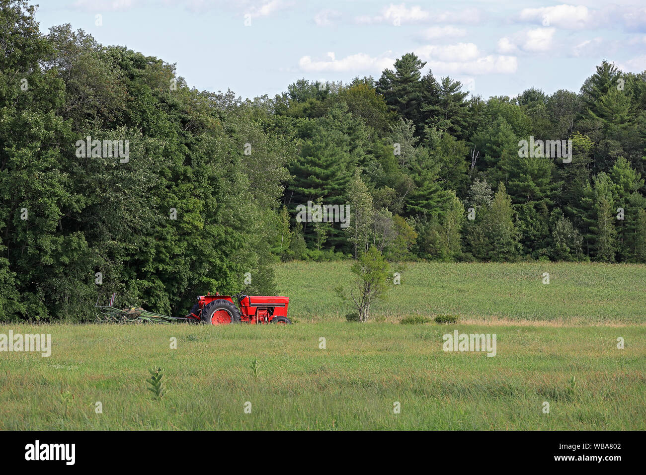 Green rural landscape with a red tractor in Massachusetts Stock Photo