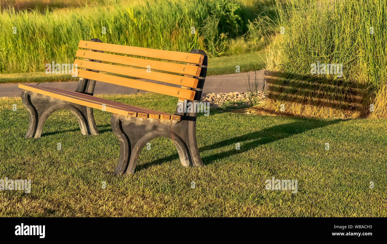 Panorama Frame Empty Outdoor Park Bench Casting Shadow On The