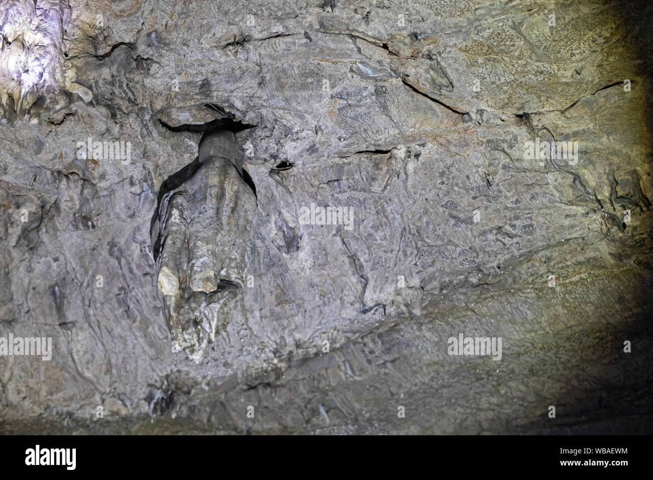 stone formation on a vault in a cave, like a bat hanging upside down ...