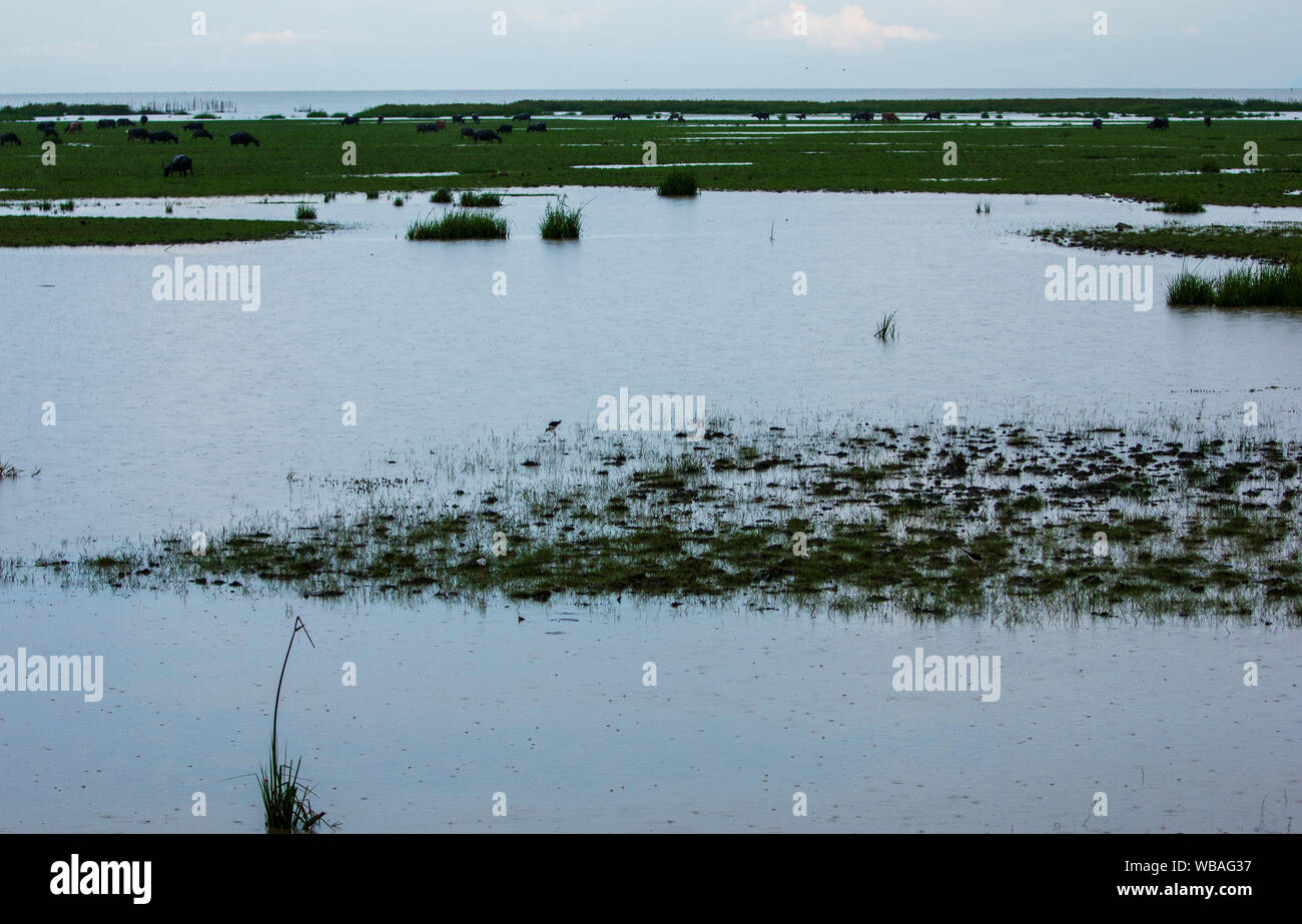 Freshwater lakes in Thailand Stock Photo