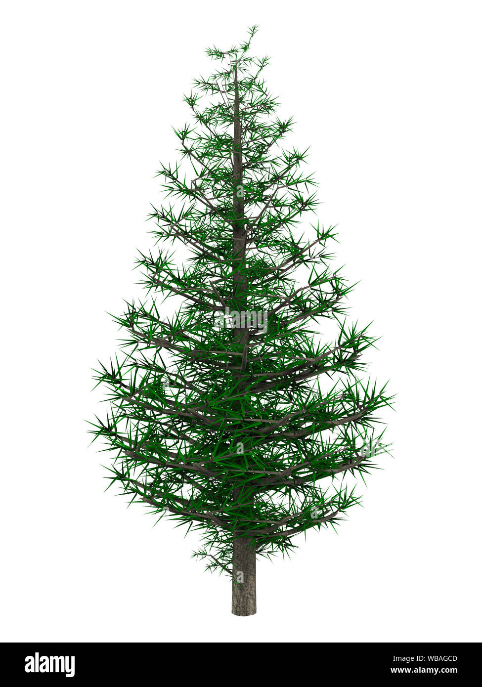 3D digital rendered illustration of christmas tree on white background ...