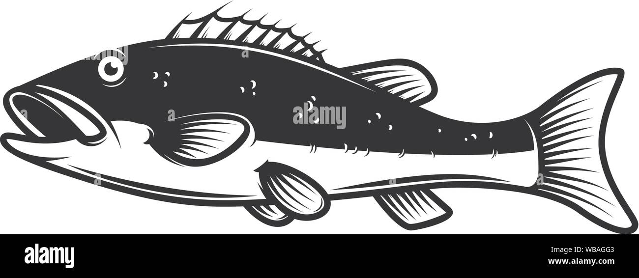 illustration of Perch fish. Design element for poster, emblem, sign, logo, label, flyer. Vector illustration Stock Vector