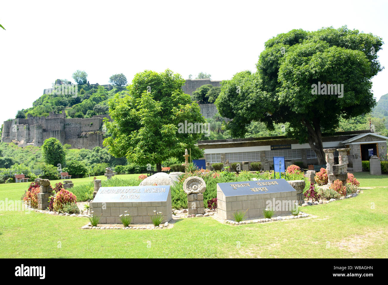 kangra fort trees and plant modify the flowers and plants Stock Photo