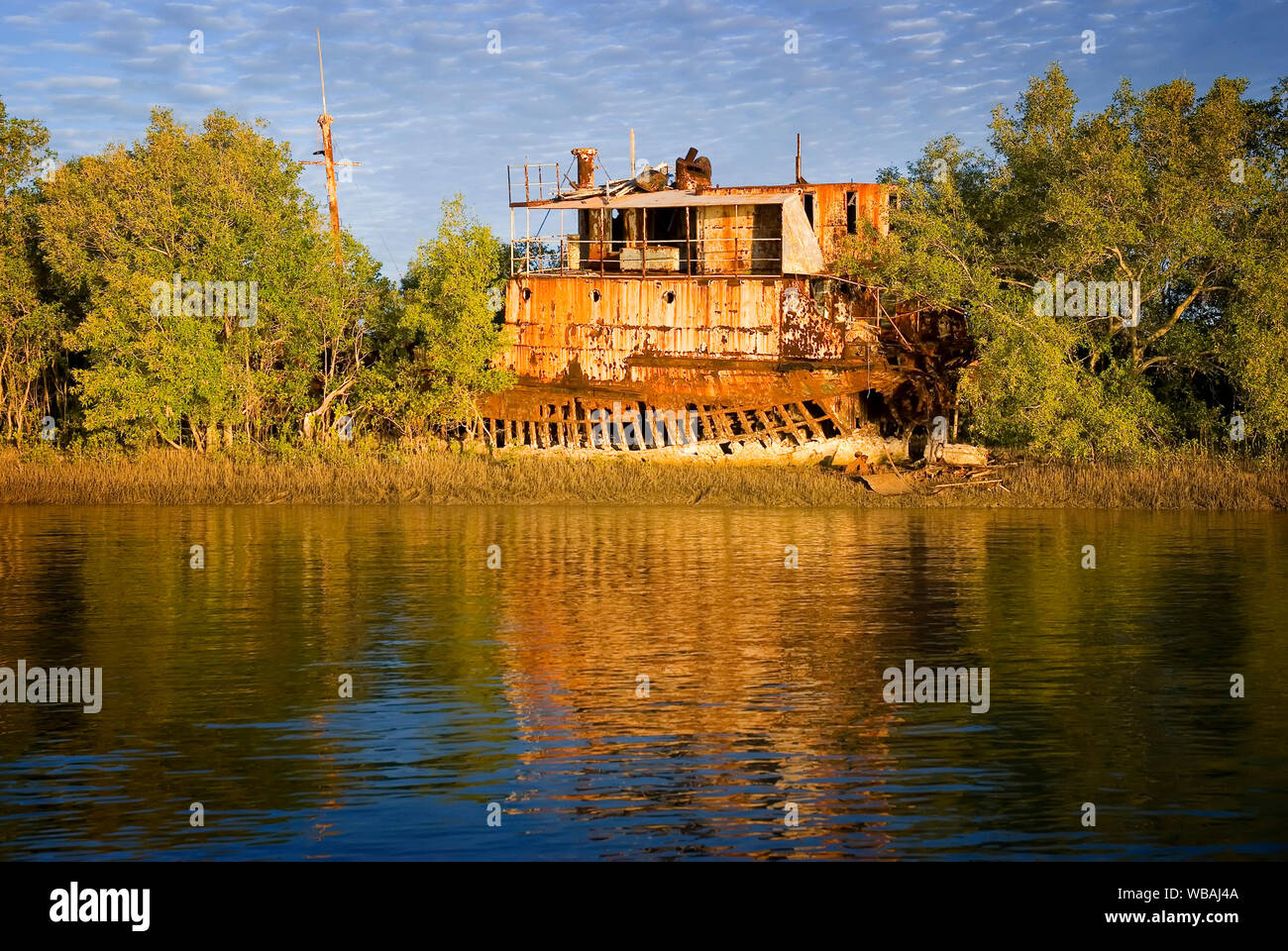 Rusting hulk of the cargo ship Katoora,  in mangroves on the banks of the Norman River. Once the largest ship in the region it was dragged from its mo Stock Photo