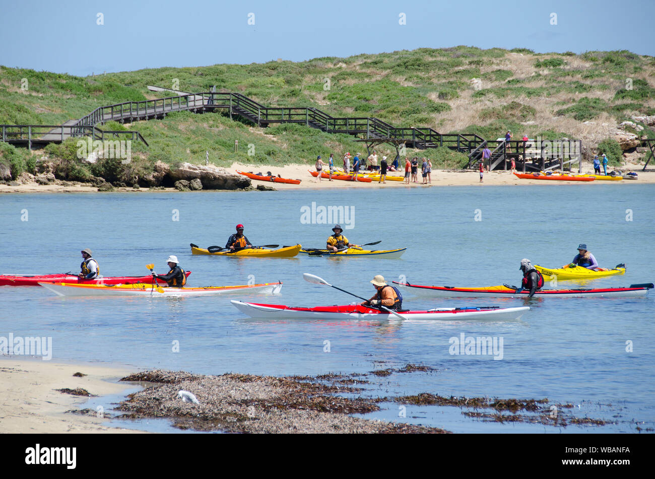 Kayaks and kayakers. Limestone reefs, rocks and islets support a rich diversity and abundance of marine and terrestrial wildlife making the island is Stock Photo