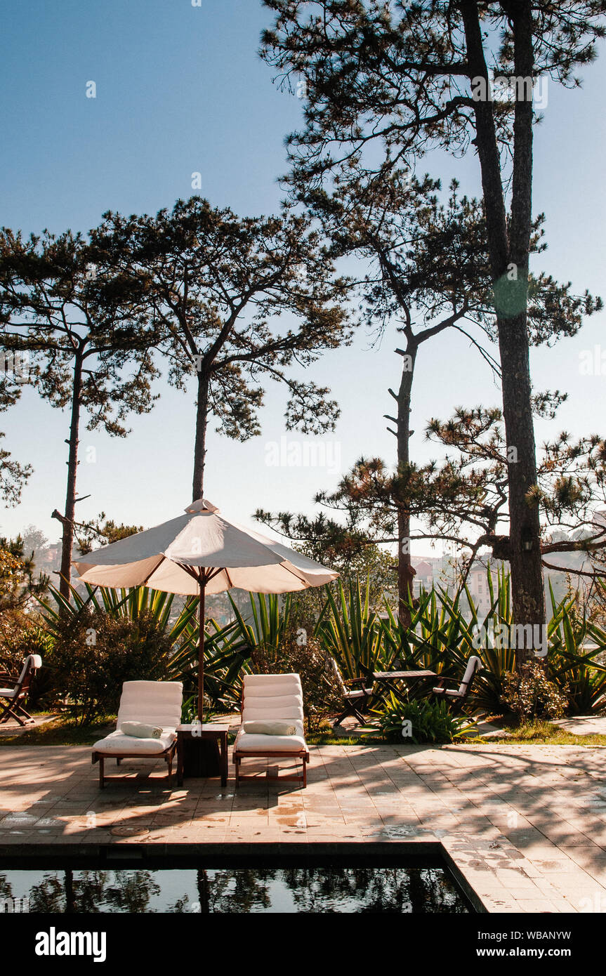 Tropical resort style swimming pool in pine forest under sunlight with flare in late winter and white pool beds and umbrellas Stock Photo