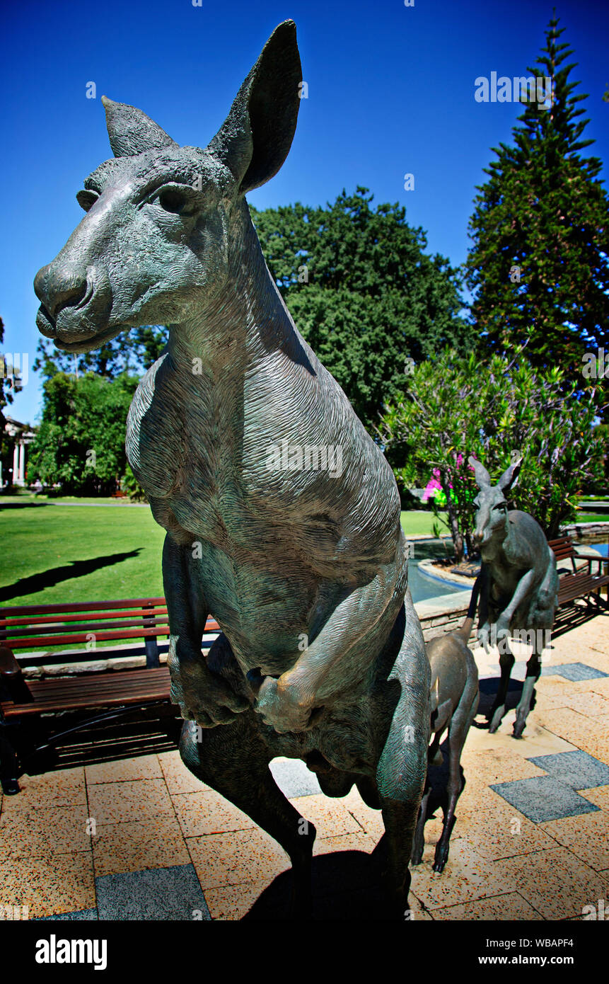 Kangaroos in city sculptures perth hires stock photography and images Alamy