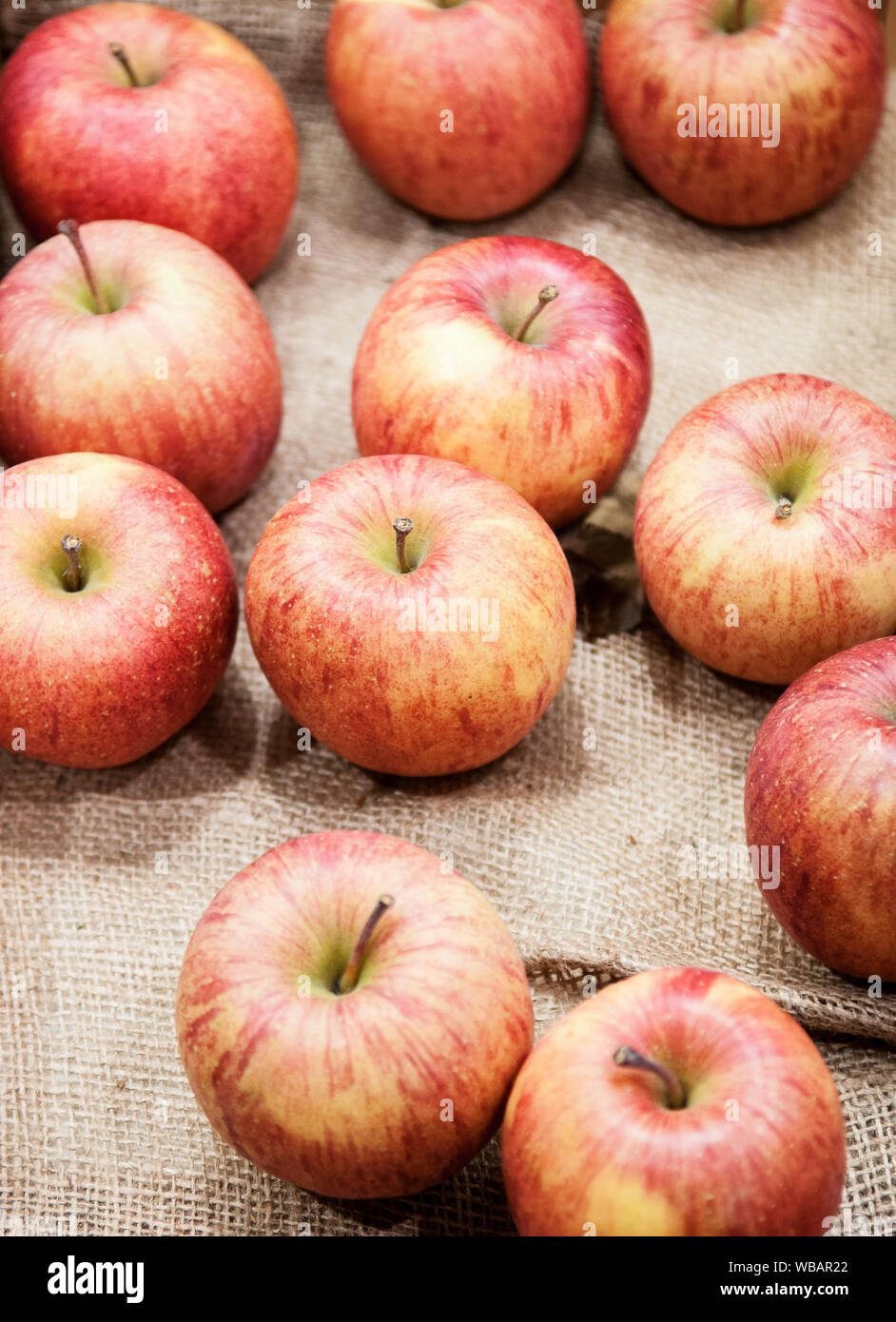 Tsugaru apple hires stock photography and images Alamy