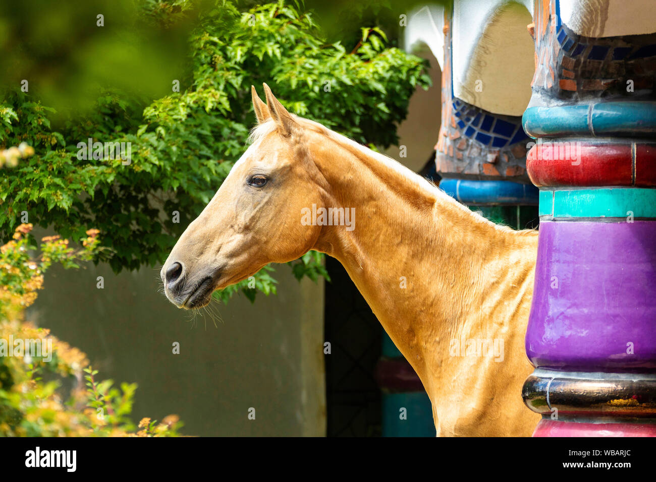 Kinsky Horse. Palomino mare standing among multicolored columns at hotel and spa Rogner Bad Blumenau (designed by Friedensreich Hundertwasser). Styria, Austria Stock Photo