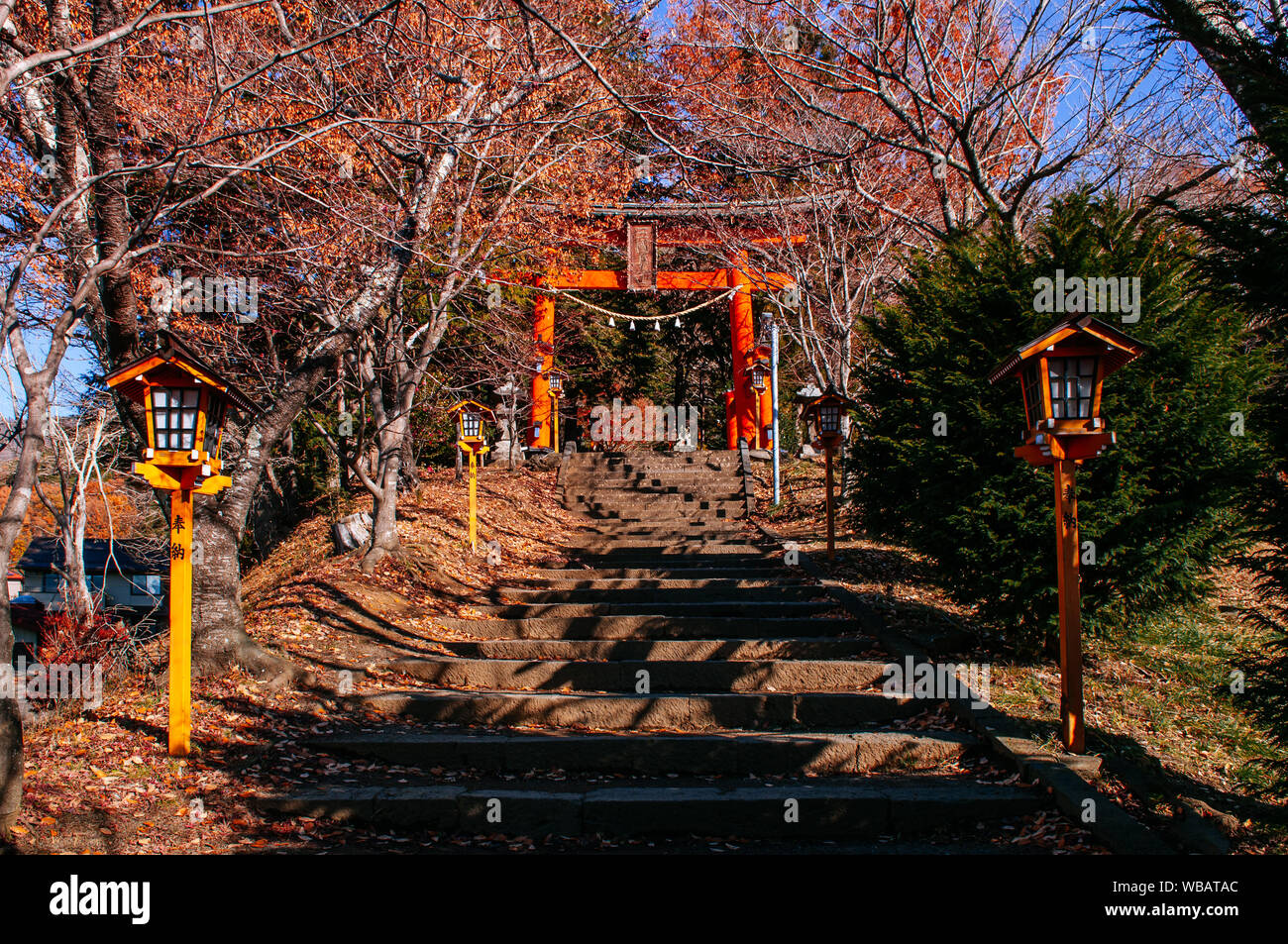 Red Torii gate of Chureito Pagoda Shrine entrance with stone steps under autumn maple tree Shimoyoshida - Arakurayama Sengen Park in Fujiyoshida near Stock Photo