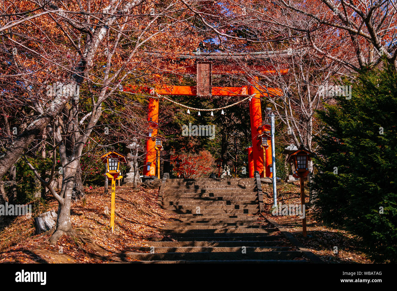 Red Torii gate of Chureito Pagoda Shrine entrance with stone steps under autumn maple tree Shimoyoshida - Arakurayama Sengen Park in Fujiyoshida near Stock Photo