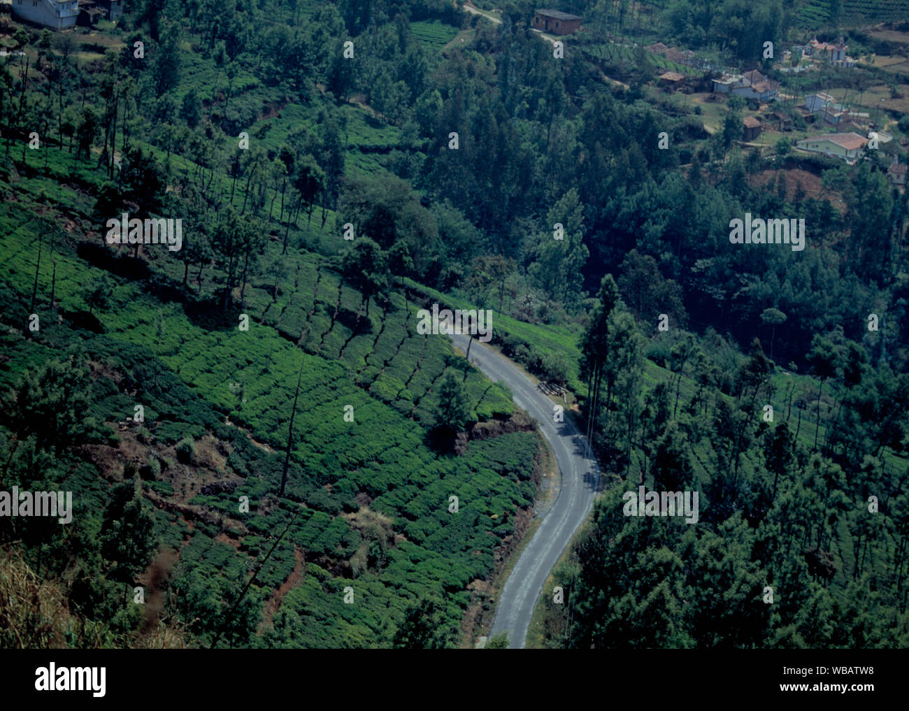 asia, india, narrow country lane surrounded  by terraced landscape Stock Photo