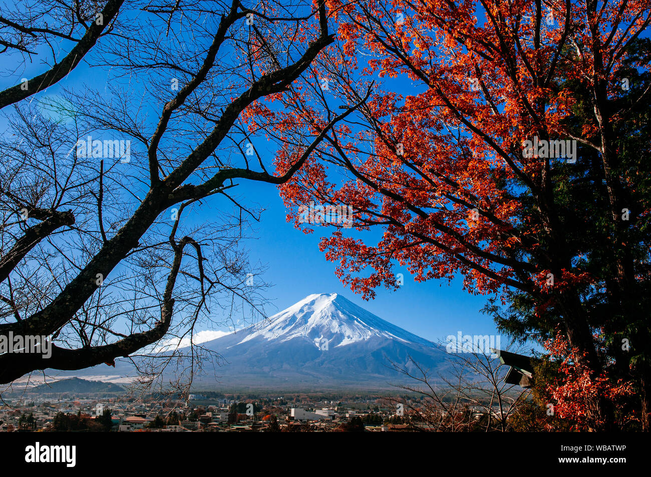 Mount Fuji with snow and colourful autumn red maple tree with Shimoyoshida city seen from Chureito Pagoda Arakurayama Sengen Park in Fujiyoshida near Stock Photo