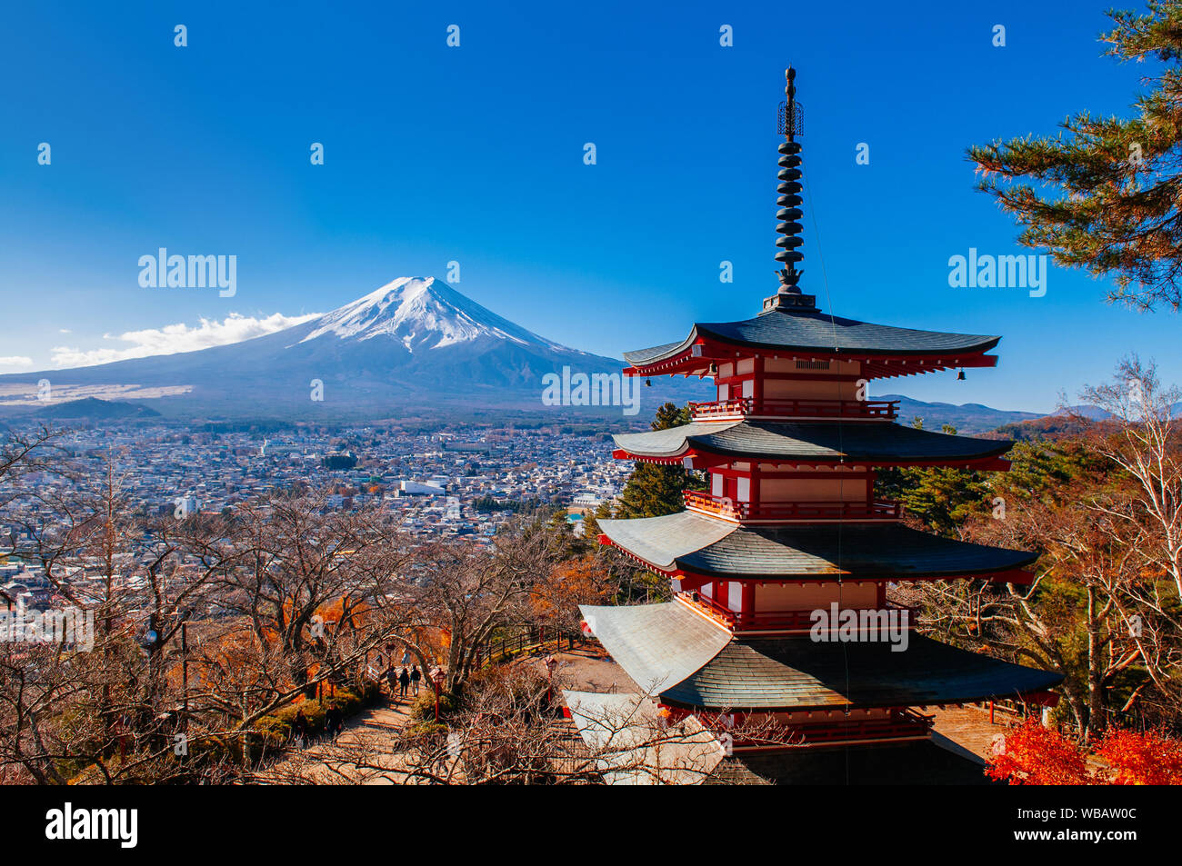 Red Chureito Pagoda and Snow covered Mount Fuji blue sky in autumn. Shimoyoshida - Arakurayama Sengen Park in Fujiyoshida near Kawaguchigo Stock Photo