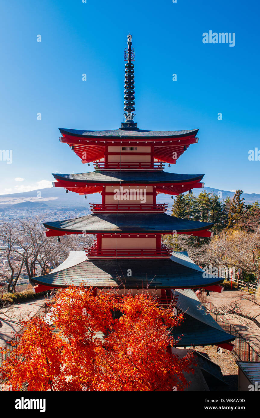 Mount Fuji  hiding behind Red Chureito Pagoda with blue sky and red maple tree in autumn. Shimoyoshida - Arakurayama Sengen Park in Fujiyoshida near K Stock Photo