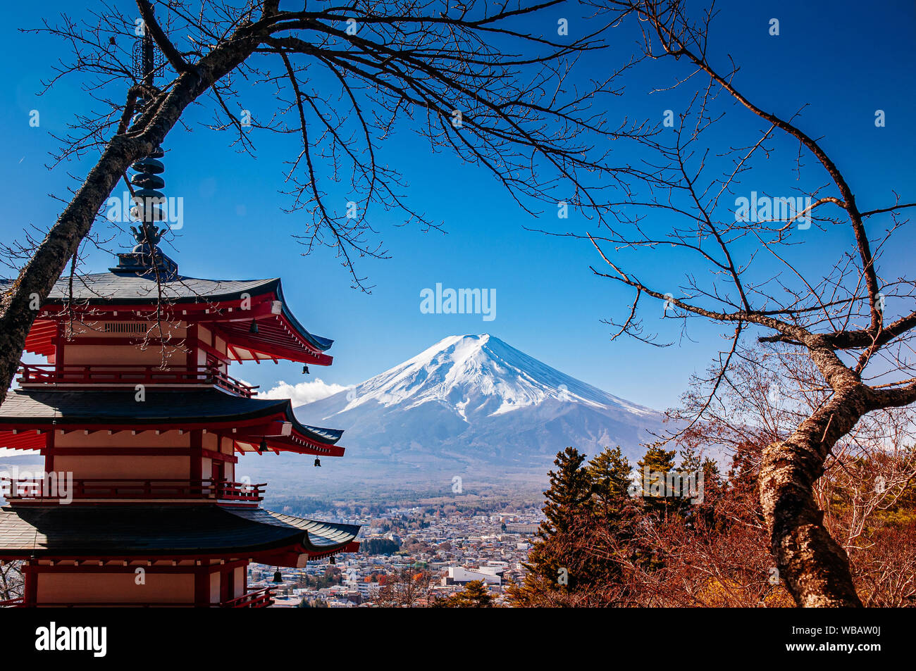 Red Chureito Pagoda and Snow covered Mount Fuji blue sky in autumn. Shimoyoshida - Arakurayama Sengen Park in Fujiyoshida near Kawaguchigo Stock Photo