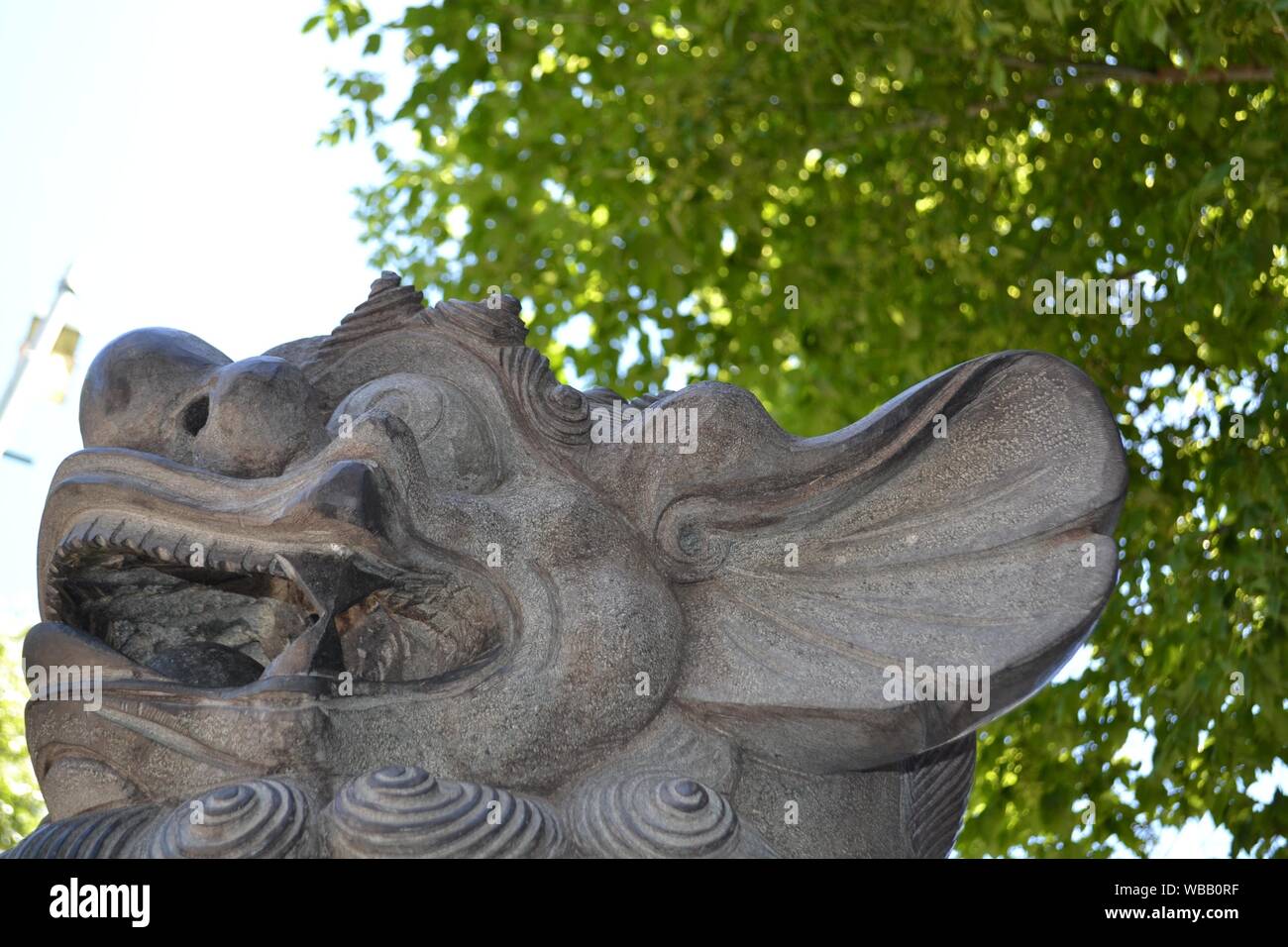 Closeup shot of a stone dragon statue Stock Photo