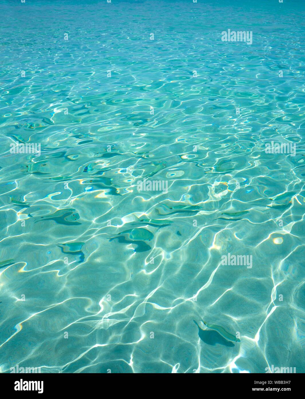 Ibiza Portinatx Arenal Petit beach clear water fishes in Balearic Islands. Stock Photo
