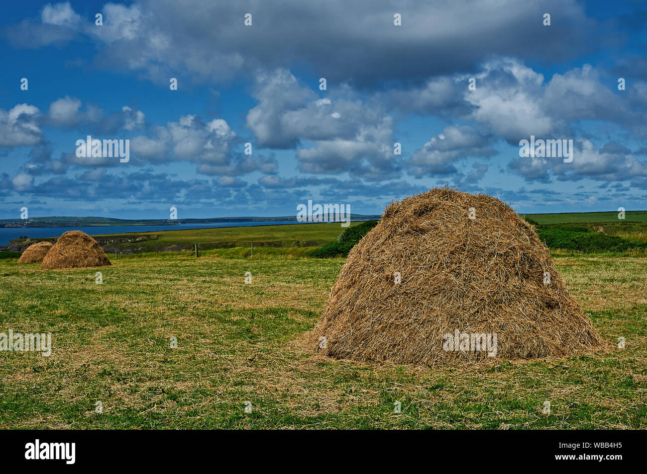 Traditional hay ricks on the cliff tops at Bromore, County Kerry, Republic of Ireland. Stock Photo