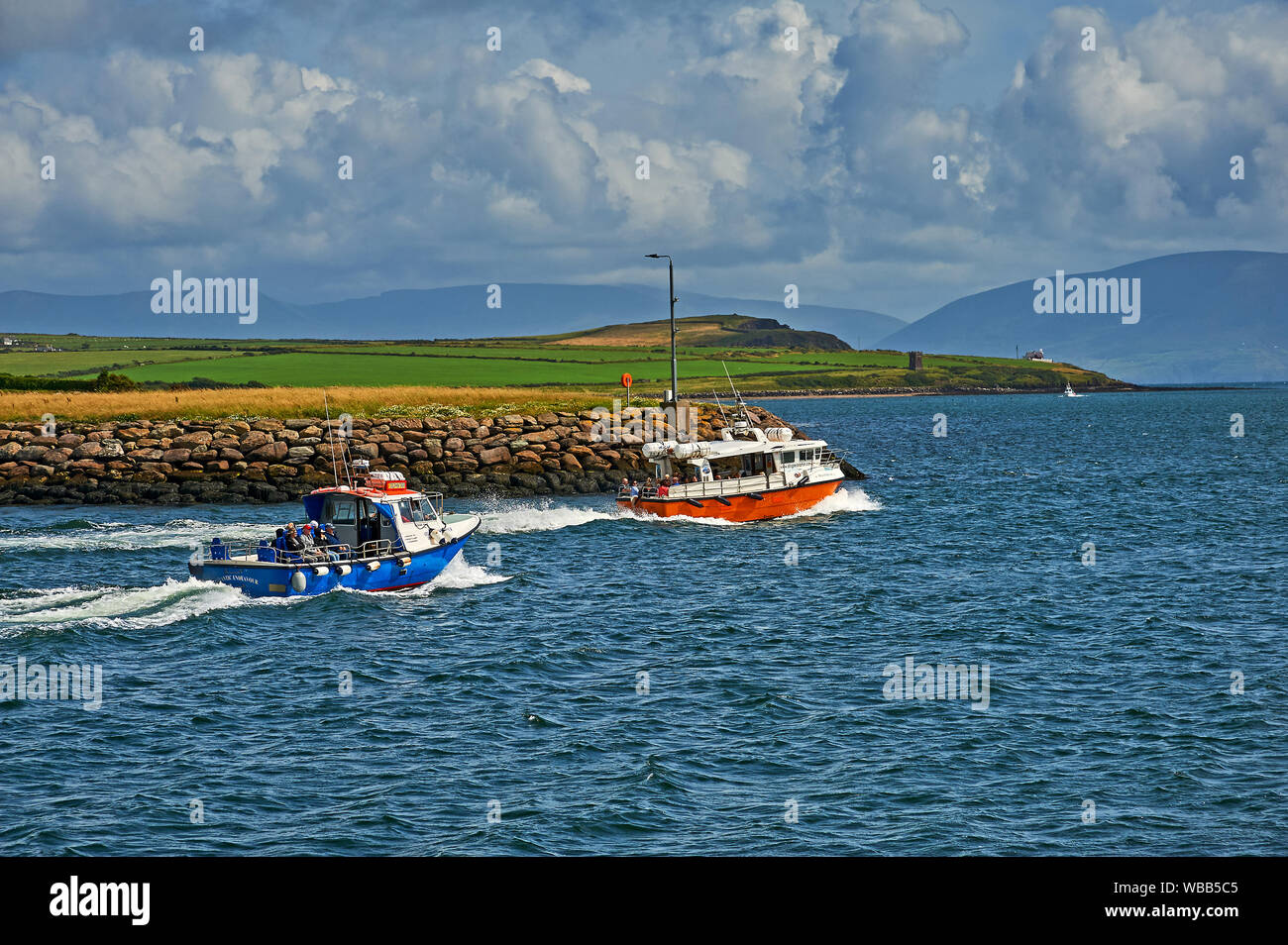 Dolphin watching trips leave Dingle Harbour in County Kerry, Republic of Ireland Stock Photo
