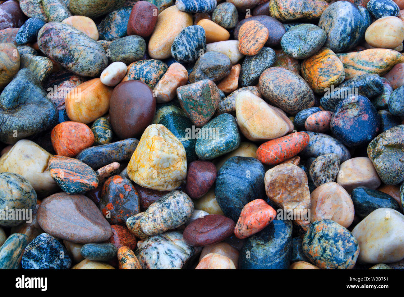 Wet, colorful stones on a beach, Scotland Stock Photo