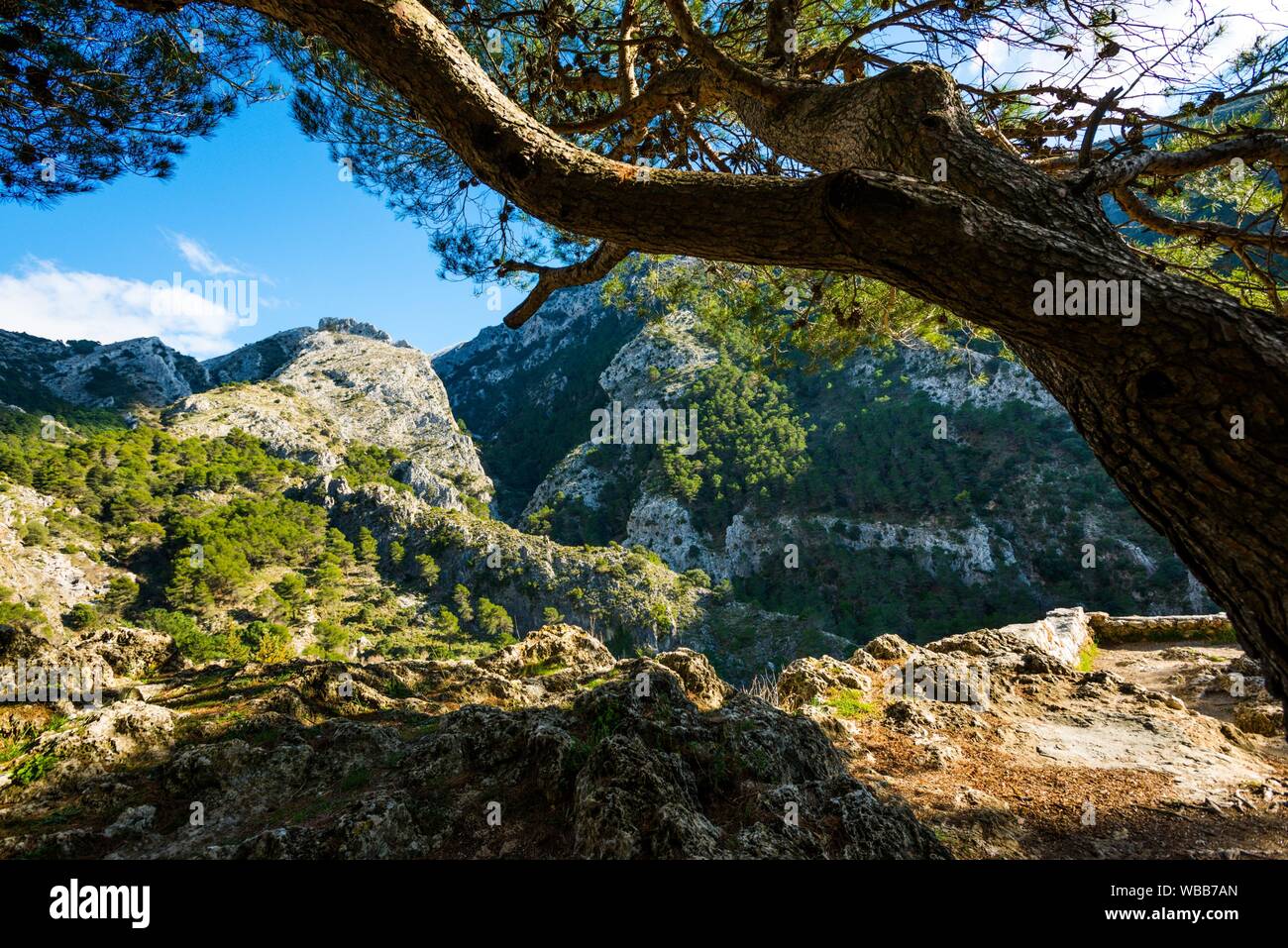 Alcaucín, Málaga, Andalusia, Spain, Europe Stock Photo - Alamy