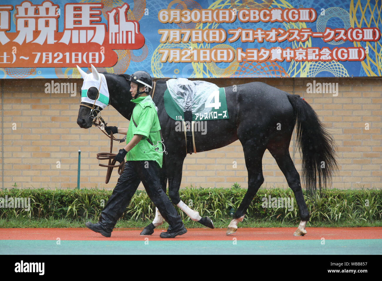 Aichi, Japan. 30th June, 2019. Ares Barows Horse Racing : Ares 