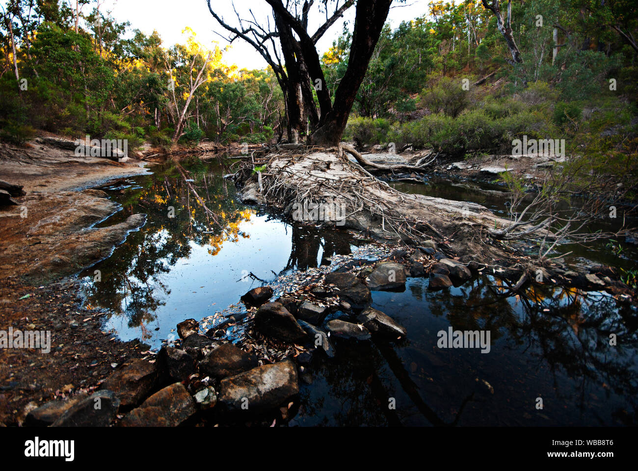 Lane poole reserve hires stock photography and images Alamy