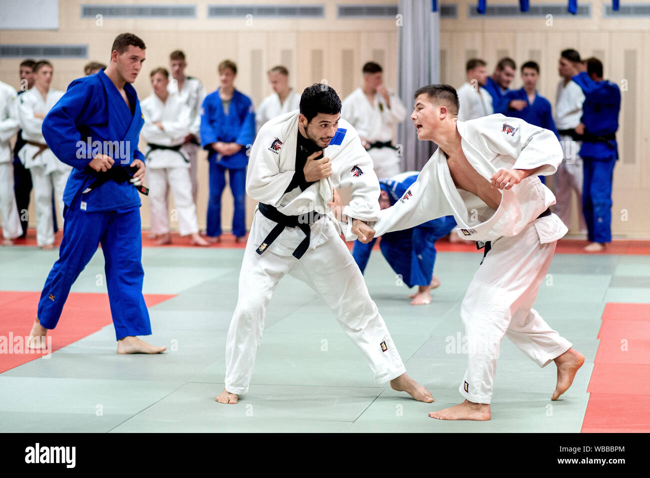 Anna Monta Olek and Alina Böhm Target Medals at 2026 World Judo Championships
