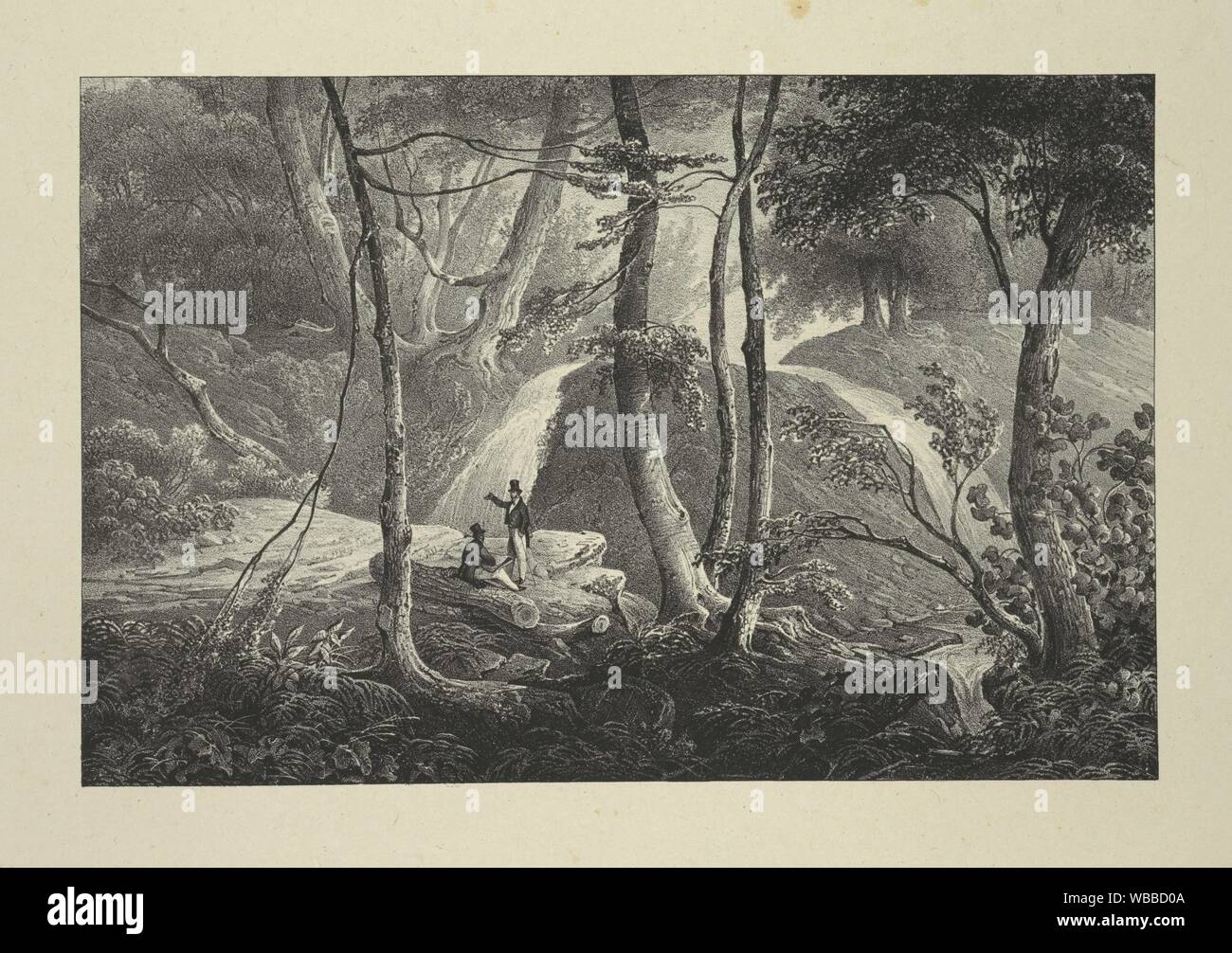 Falls near Schooley's Springs Additional title: Itinéraire pittoresque du fleuve Hudson. Eno, Amos F., 1836-1915 (Collector) Milbert, Jacques Gérard Stock Photo