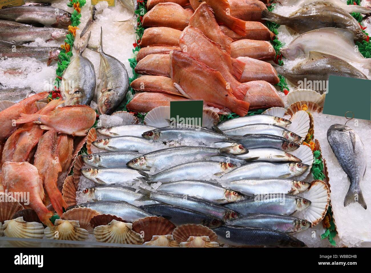 Norwegian herring, sea bream, dorade and flatfish fish shopping at a