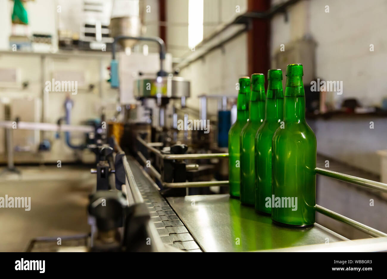 Green bottles with apple cider on bottling line in traditional Asturian Sidreria Stock Photo