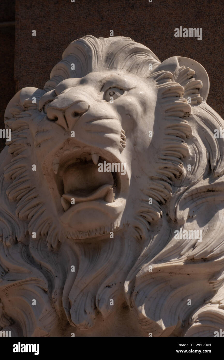 An expressive sculpture of a lion's head made of white stone. Close-up Stock Photo