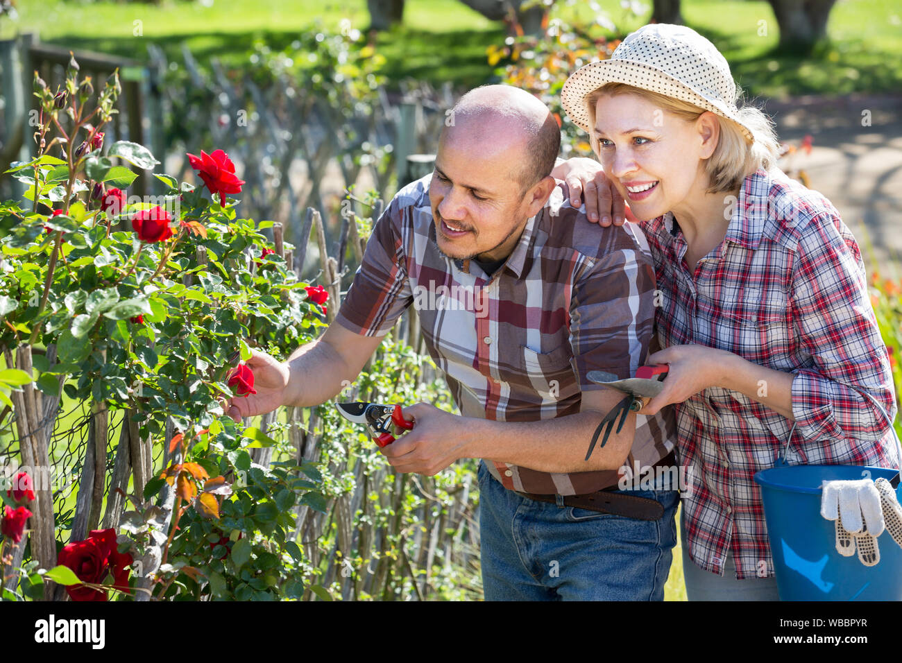 Mature couple gardening tools in hi-res stock photography and images ...