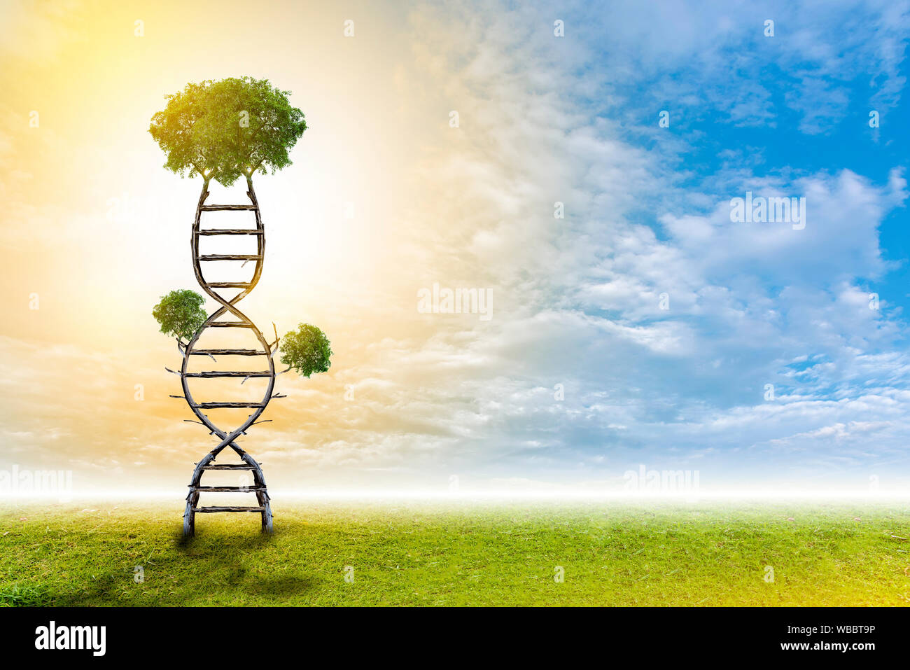 DNA is a natural tree background style. Stock Photo