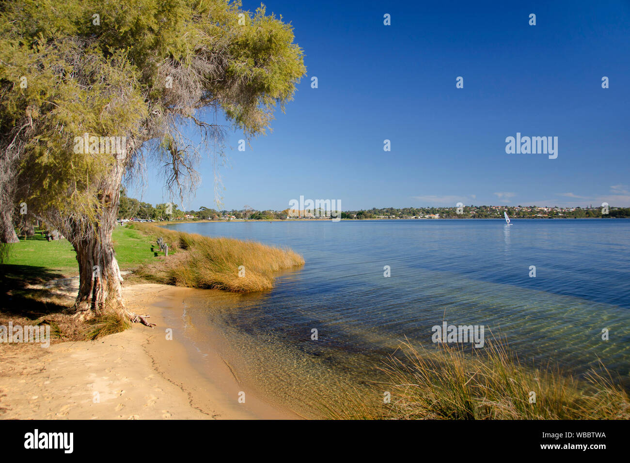 Swan River foreshore at Applecross with views of the river and city, and bike and walking paths, cafes, jetties and parks, drawing walkers, cyclists, Stock Photo