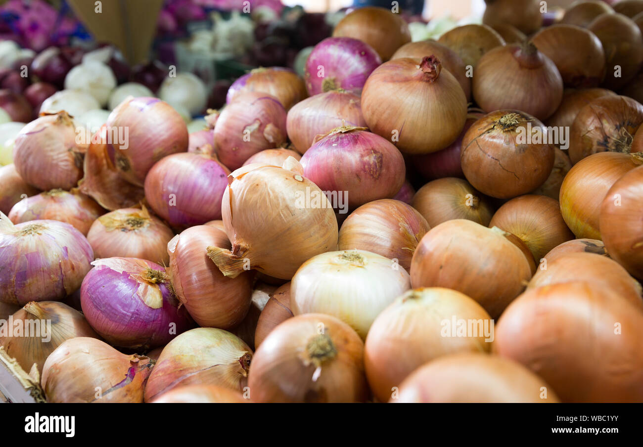 Different onions in plenty on display at farmer market Stock Photo - Alamy