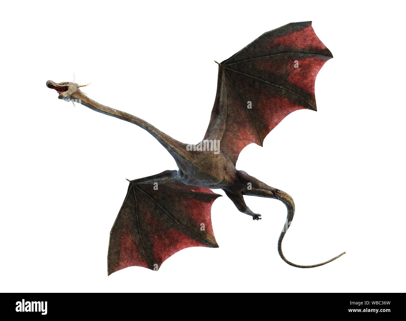 dragon, flying fairy tale animal isolated on white background, bottom ...