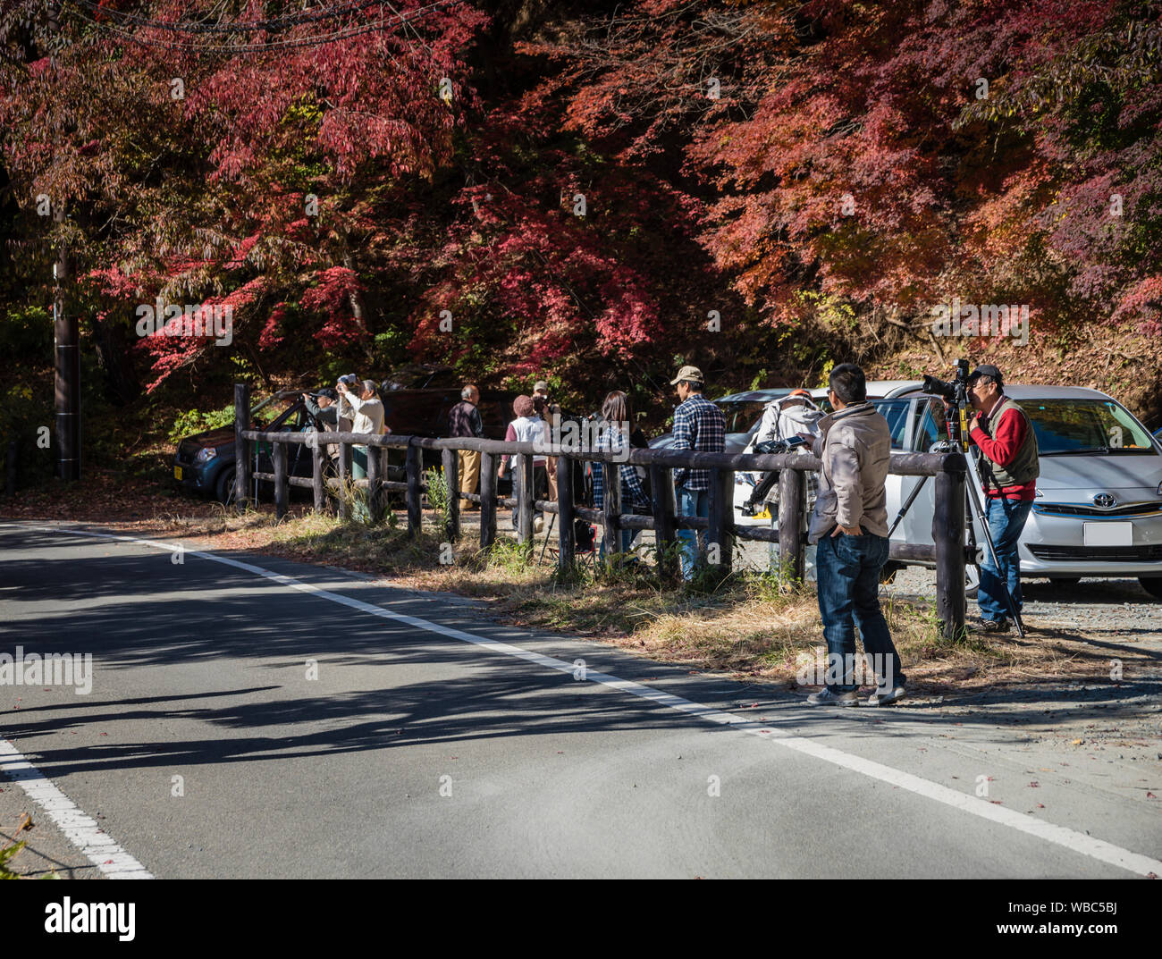 Line of photographers capturing the autumn colours, Kawaguchi, Japan Stock Photo