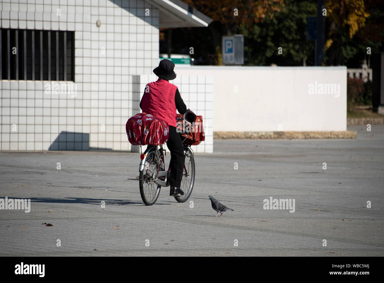 Lone mature female cyclist in Himeji, Japan Stock Photo