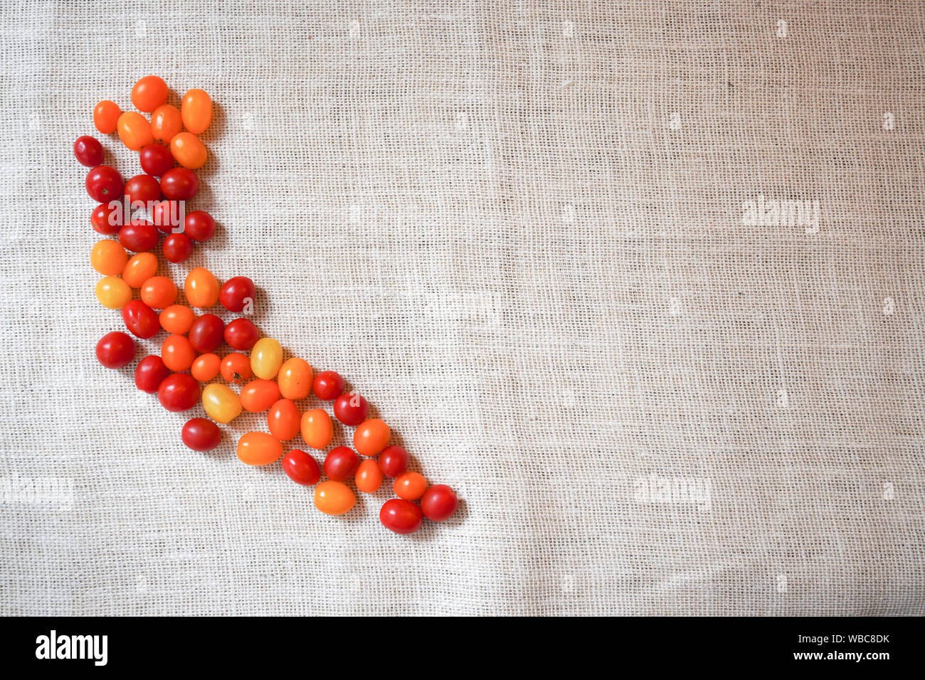 A pile of cherry tomatoes in the shape of California harvested from the garden on a rustic burlap background Stock Photo