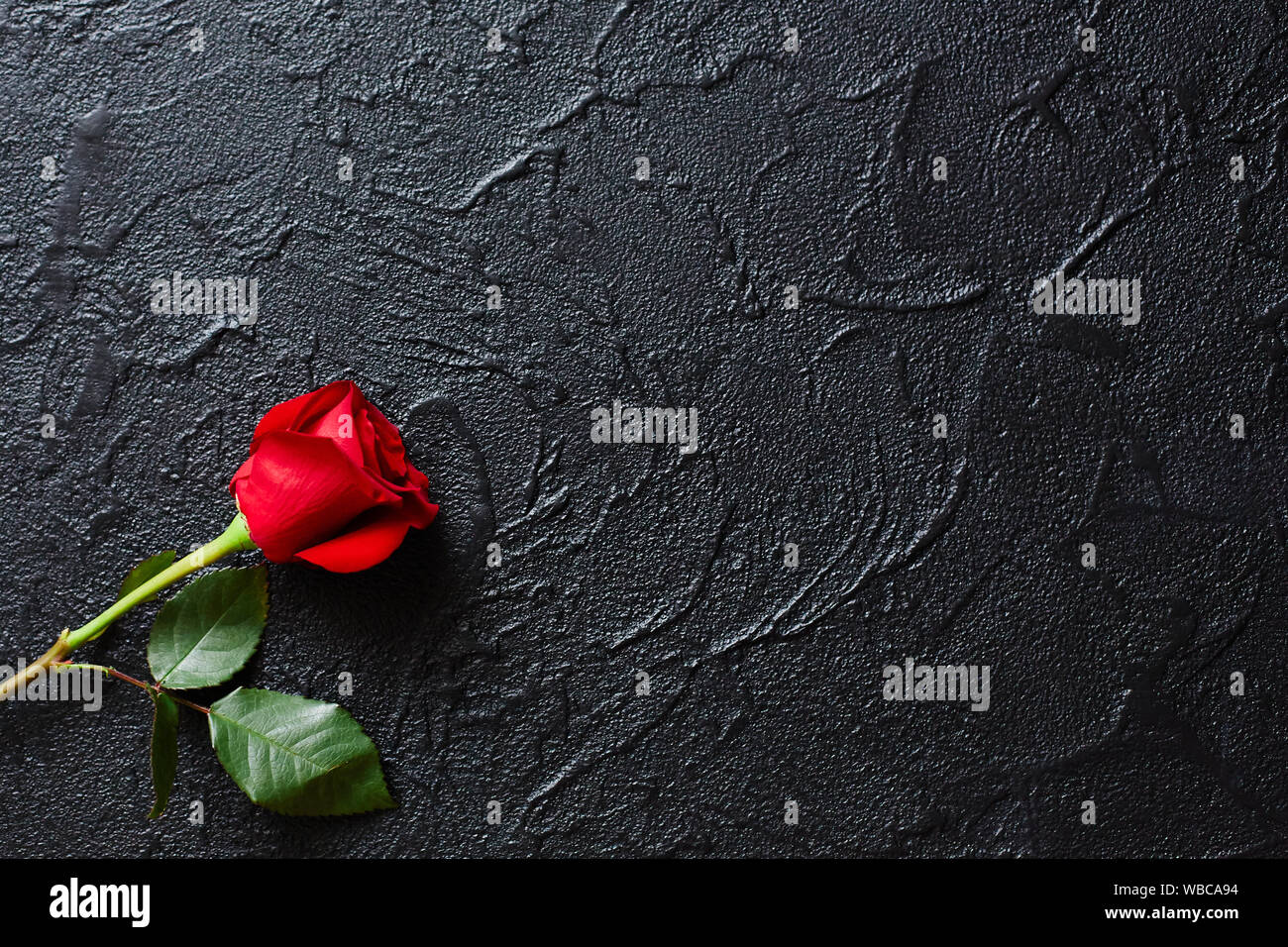 Make life fun. Tomorrow isn't guaranteed.\, image size:1300x956