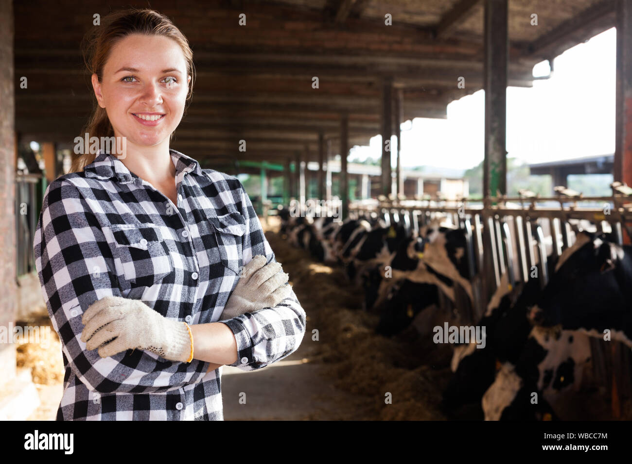 Positive female farmer posing in cowshed at dairy farm Stock Photo - Alamy