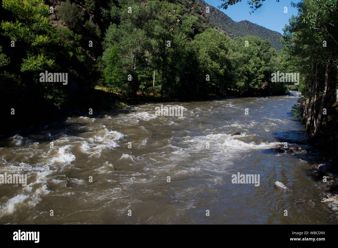 Wild river flow on the Noguera Pallaresa river  between Sort and Llavorsi, Catalunya Spain Stock Photo