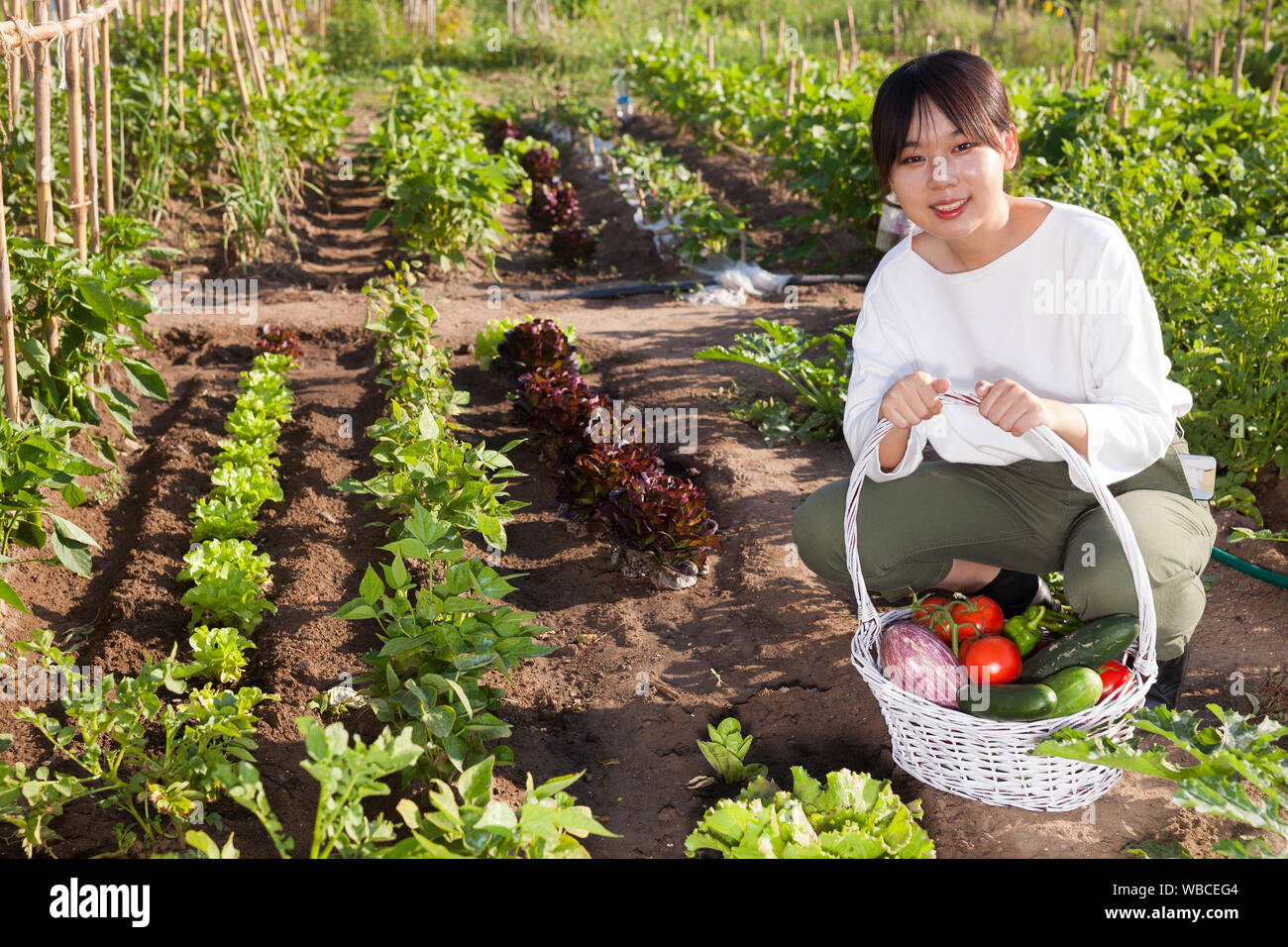Young Asian female gardener holding basket full of vegetable harvest on ...