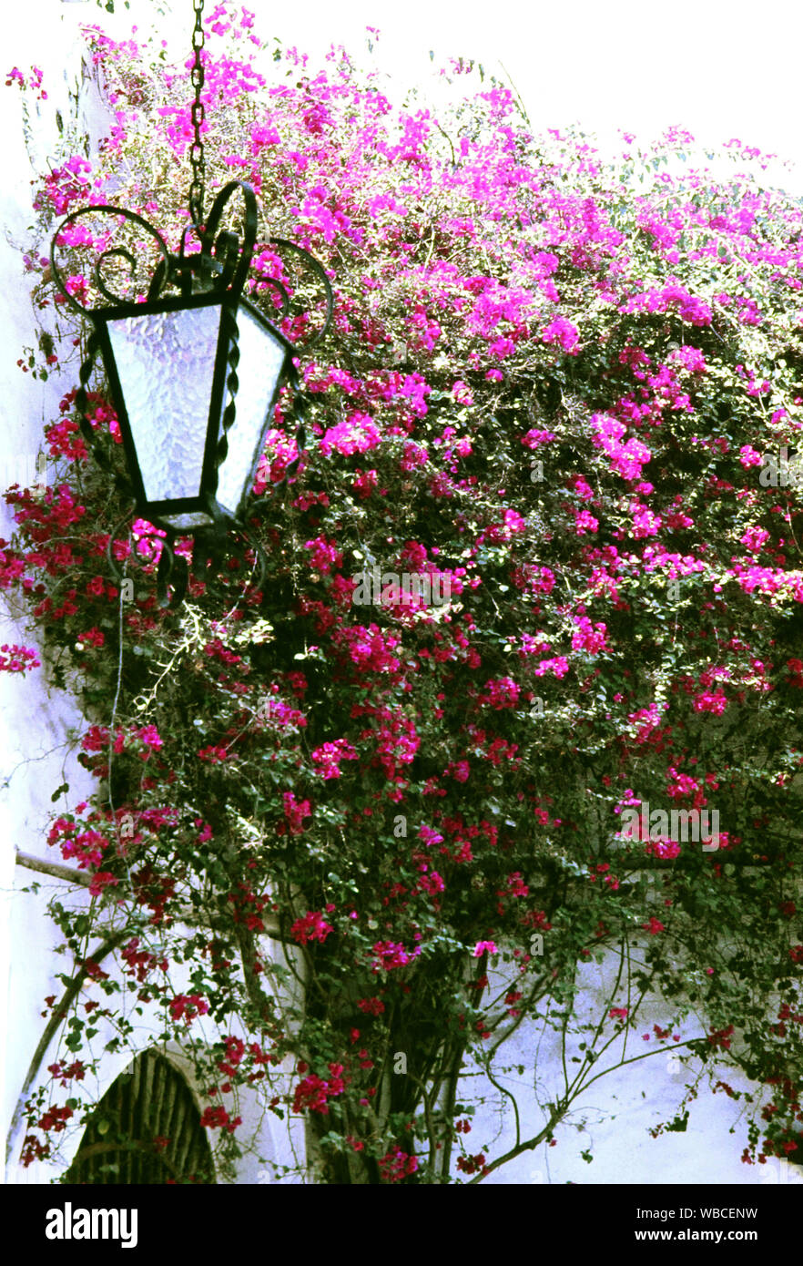 Haus Im Kolonialstil In Der Stadt Trujillo Peru 1960er Jahre Colonial Styled House At The City Of Trujillo In Peru 1960s Stock Photo Alamy