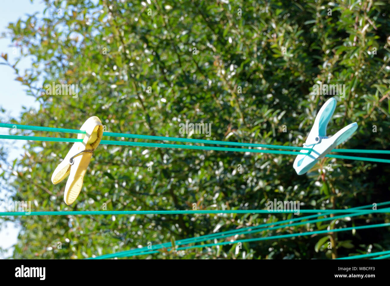Plastic pegs on a washing line in a UK garden Stock Photo