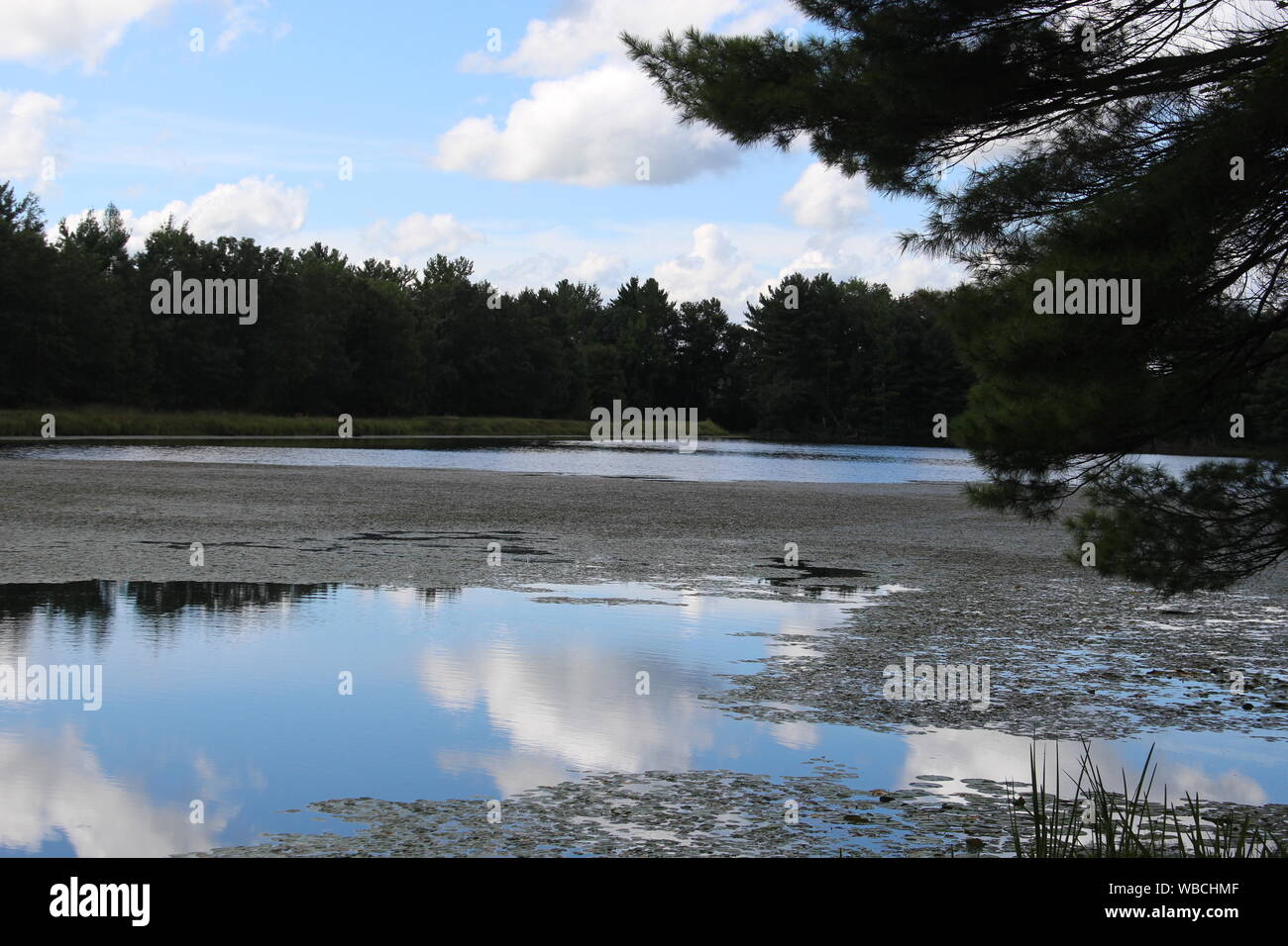Mcmullen park hires stock photography and images Alamy