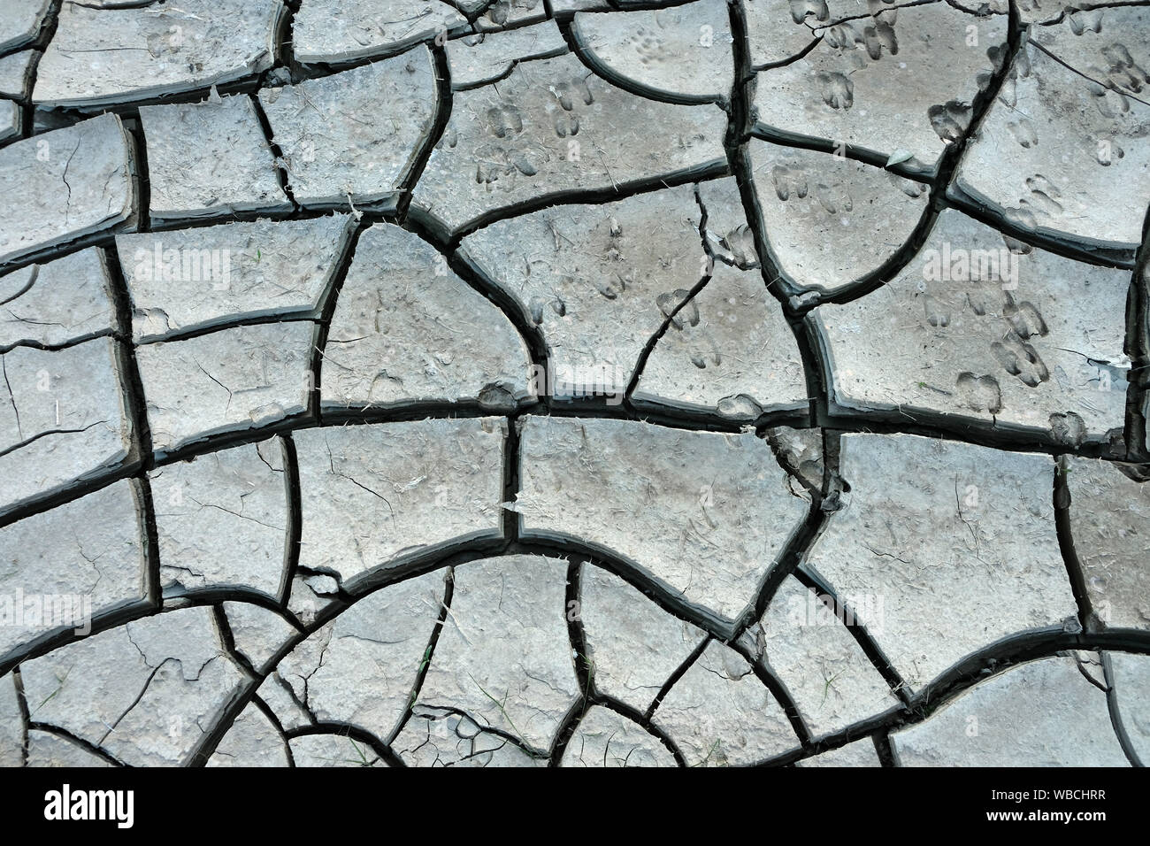the global climate change is a threat to the world. debris of dehydrated soils form interesting shapes Stock Photo